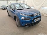 C4 Cactus