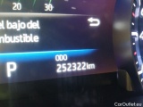 Highlander