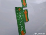  Citroen  C3 BLUEHDI 100 S&S BVM6 FEEL #30