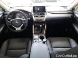  Lexus  NX 2.5 300H PACK BUSINESS STAGE 2WD AUTO #4