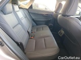  Lexus  NX 2.5 300H PACK BUSINESS STAGE 2WD AUTO #10