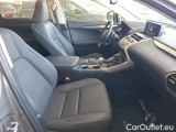  Lexus  NX 2.5 300H PACK BUSINESS STAGE 2WD AUTO #9
