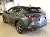 NX