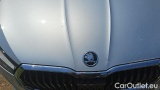  Skoda  Fabia 1.0 TSI Evo 81KW STYLE DSG #27