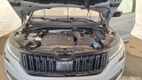  Skoda  Kodiaq  Sportline 4x4 2.0 TDI 147KW AT7 E6d #13