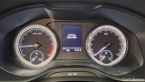  Skoda  Kodiaq  Sportline 4x4 2.0 TDI 147KW AT7 E6d #22