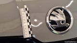  Skoda  Kodiaq  Sportline 4x4 2.0 TDI 147KW AT7 E6d #29
