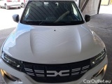 Dacia  Spring DACIA  / 2021 / 5P / BERLINA CARGO ELECTRIC 45 33KW #27