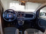  Fiat  Panda FIAT  / 2012 / 5P / BERLINA 1.0 70CV HYBRID EURO 6D VAN 2 P. POP #3