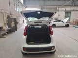  Fiat  Panda FIAT  / 2011 / 5P / BERLINA 1.0 70CV SeS HYBRID #5