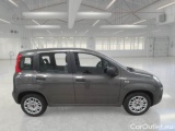  Fiat  Panda FIAT  / 2011 / 5P / BERLINA 1.0 FIREFLY 70CV SeS HYBRID #7