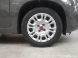  Fiat  Panda FIAT  / 2011 / 5P / BERLINA 1.0 FIREFLY 70CV SeS HYBRID #17