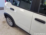  Fiat  Panda FIAT  / 2011 / 5P / BERLINA 1.0 FIREFLY 70CV SeS HYBRID #46