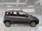  Fiat  Panda FIAT  / 2011 / 5P / BERLINA 1.2 69CV SeS E6D-TEMP LOUNGE #7