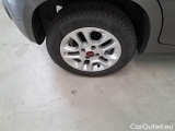  Fiat  Panda FIAT  / 2011 / 5P / BERLINA 1.2 69CV SeS E6D-TEMP LOUNGE #55