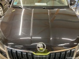  Skoda  Karoq  Style 4x4 2.0 TDI 110KW AT7 E6d #27