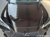  Lexus  NX LEXUS  / 2021 / 5P / SUV HYBRID BUSINESS 2WD MY22 #28