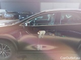  Lexus  NX LEXUS  / 2021 / 5P / SUV HYBRID BUSINESS 2WD MY22 #71