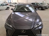  Lexus  NX LEXUS  / 2021 / 5P / SUV HYBRID BUSINESS 2WD MY22 #26