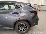 Lexus  NX LEXUS  / 2021 / 5P / SUV HYBRID BUSINESS 2WD MY22 #36