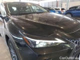  Lexus  NX LEXUS  / 2021 / 5P / SUV HYBRID BUSINESS 4WD MY22 #32