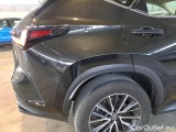  Lexus  NX LEXUS  / 2021 / 5P / SUV HYBRID BUSINESS 4WD MY22 #57