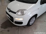  Fiat  Panda FIAT  / 2011 / 5P / BERLINA 1.2 69CV E6 EASY #29