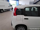  Fiat  Panda FIAT  / 2011 / 5P / BERLINA 1.2 69CV E6 EASY #40