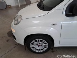  Fiat  Panda FIAT  / 2011 / 5P / BERLINA 1.2 69CV E6 EASY #50