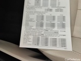  Mercedes  CLA-Klasse Mercedes-Benz CLA Shooting Brake CLA 250 e Luxury Line 5d #12