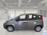  Fiat  Panda FIAT  / 2011 / 5P / BERLINA 1.0 FIREFLY 70CV SeS HYBRID #8