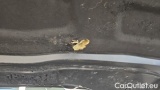  Audi  A4 35 TDI S tronic Avant #17