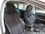  Skoda  Octavia SKODA  WAGON / 2020 / 5P / STATION WAGON 2.0 TDI EVO 110KW STYLE DSG #13