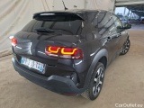 C4 Cactus