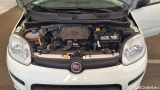  Fiat  Panda  1.0 51KW MT6 E6d #12