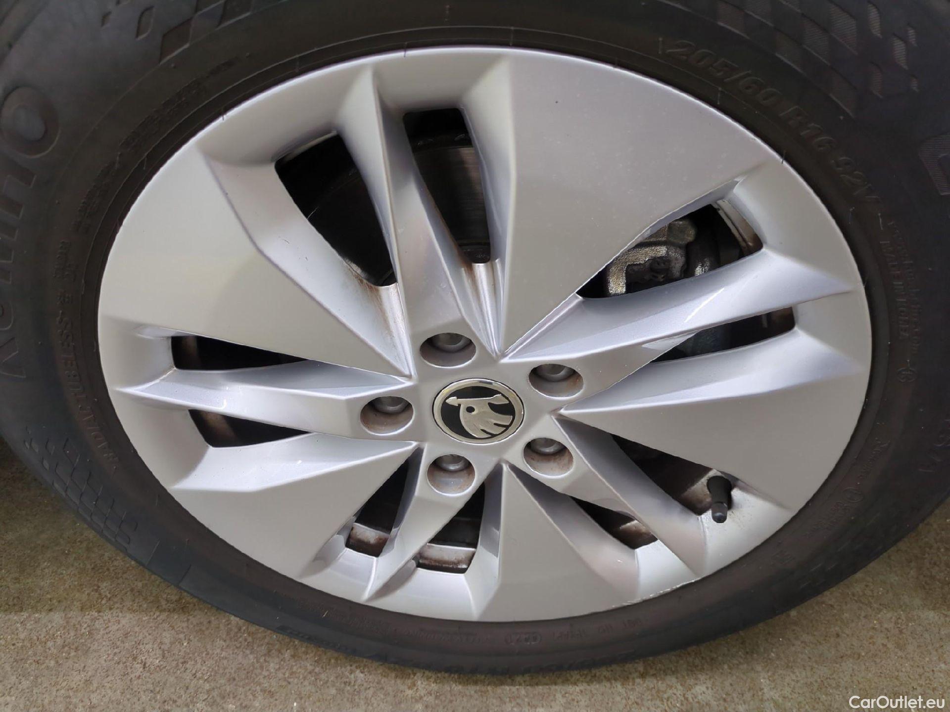  Skoda  Octavia  Berline Business 2.0 TDI 115CV BVA7 E6d #1