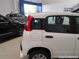  Fiat  Panda FIAT  / 2011 / 5P / BERLINA 0.9 TWINAIR TURBO NATURAL POWER EASY #43
