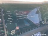  Skoda  Kodiaq Kod.2.0TDI 110 Sportlin 4x4 AT #17