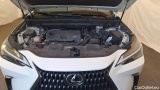  Lexus  NX LEXUS  350h Business Line 5d 140kW #12