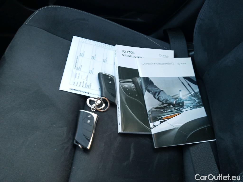  Lexus  UX LEXUS  / 2018 / 5P / todoterreno 2.0 250h Business #11