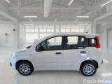  Fiat  Panda FIAT  / 2012 / 5P / BERLINA 1.2 69 CV VAN EURO6D 4 POSTI EASY #8