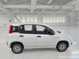  Fiat  Panda FIAT  / 2012 / 5P / BERLINA 1.2 69 CV VAN EURO6D 4 POSTI EASY #7