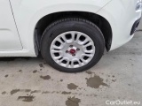  Fiat  Panda FIAT  / 2012 / 5P / BERLINA 1.2 69 CV VAN EURO6D 4 POSTI EASY #17