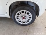  Fiat  Panda FIAT  / 2012 / 5P / BERLINA 1.2 69 CV VAN EURO6D 4 POSTI EASY #19