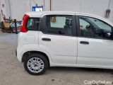  Fiat  Panda FIAT  / 2012 / 5P / BERLINA 1.2 69 CV VAN EURO6D 4 POSTI EASY #47