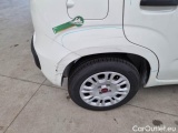  Fiat  Panda FIAT  / 2012 / 5P / BERLINA 1.2 69 CV VAN EURO6D 4 POSTI EASY #53