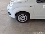  Fiat  Panda FIAT  / 2012 / 5P / BERLINA 1.2 69 CV VAN EURO6D 4 POSTI EASY #71