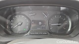 Vivaro