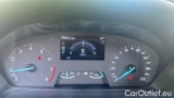  Ford  Fiesta 1.0 MHEV 125cv Start&Stop Trend #12