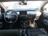 C4 Cactus